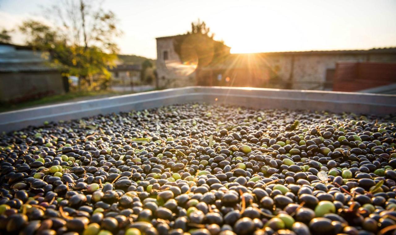 Agriturismo Grossola Castiglione dʼOrcia Exteriér fotografie