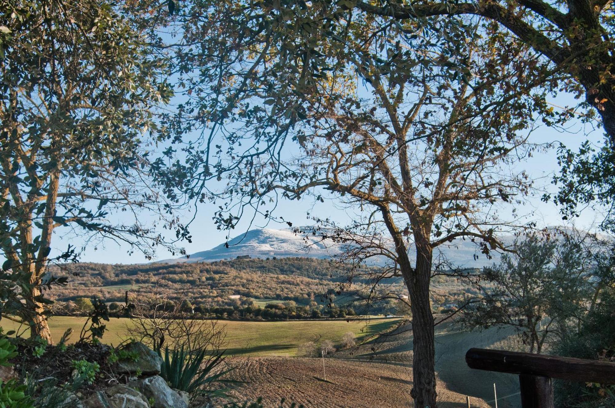Agriturismo Grossola Castiglione dʼOrcia Exteriér fotografie