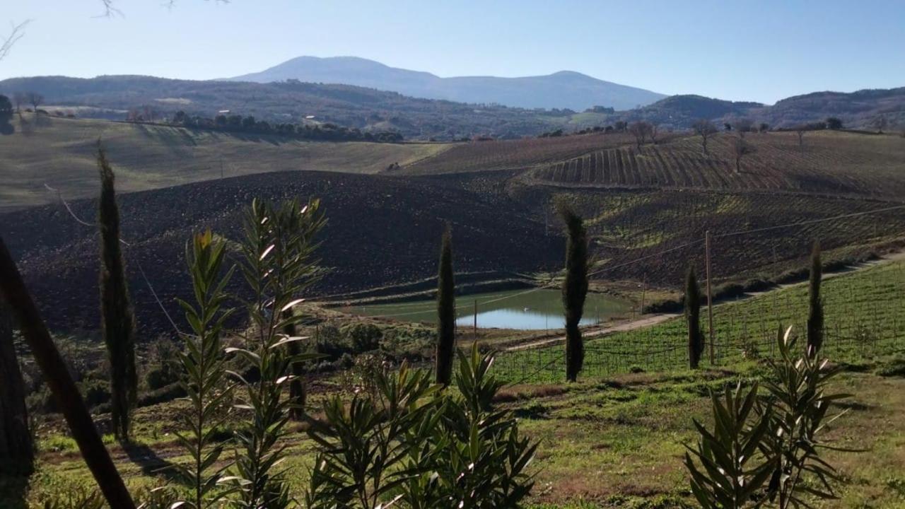 Agriturismo Grossola Castiglione dʼOrcia Exteriér fotografie