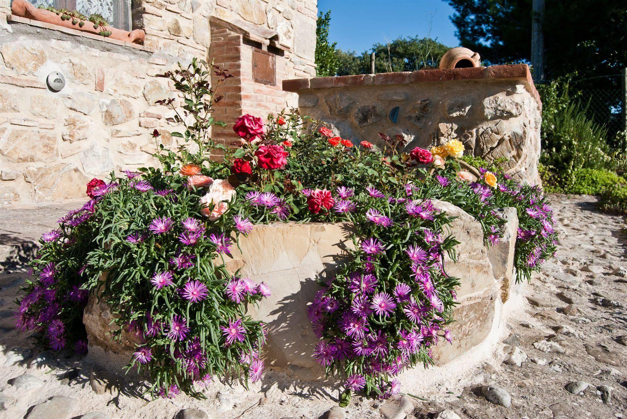 Agriturismo Grossola Castiglione dʼOrcia Exteriér fotografie